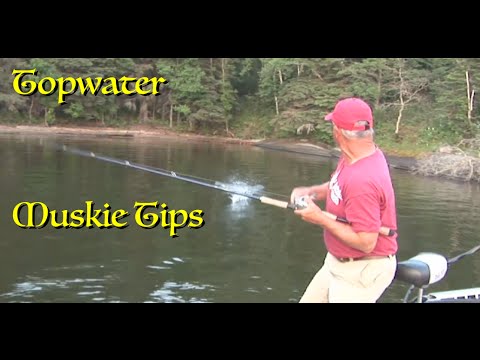 Topwater Musky Tips