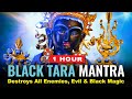 Black Tara Mantra Tara 7 1 Hour Destroys All Enemies Evil And Black Magic Supreme Protection