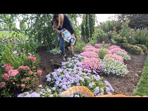 Perennial Haul Planting & Mid-Summer Flower Bed Maintenance! 🌿🙌☀️ // Garden Answer