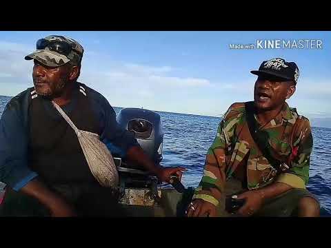 SANDIE -JNR KALES GADAGADS