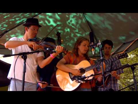 Blackberry Bushes Stringband 2014-07-20 The Fool Hearted Try Harders