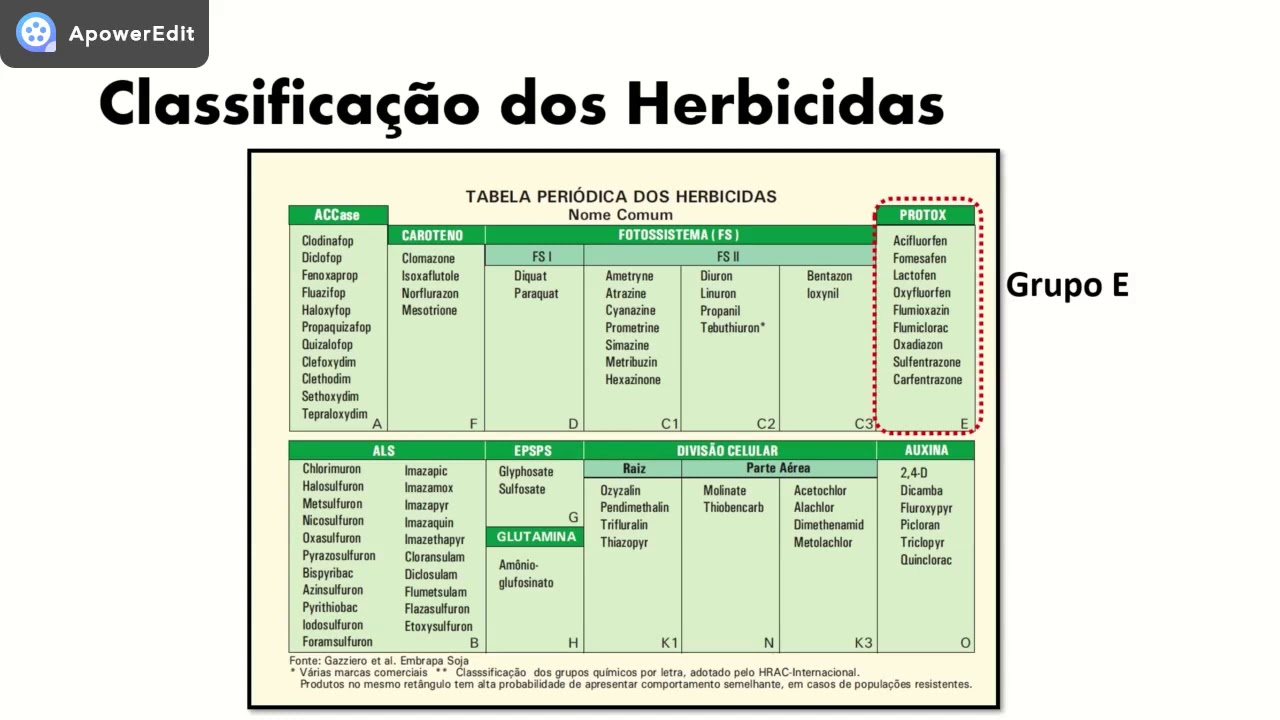 Herbicidas Inibidores da Enzima PPO ou PROTOX
