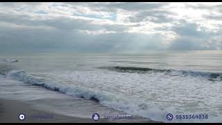 وضع صورة الميت خلفية || فتاوى عامة || د. سامي الواكد image