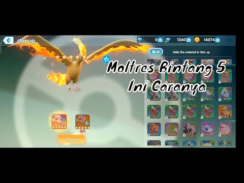 Mons Camp Cara Menaikan star pokemon | cara mendapatkan voucher gacha |