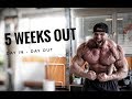 Mike's Wettkampf Tagebuch - 5 weeks out