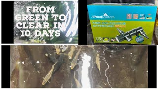 All Pond Solutions UV Light Steriliser Clarifier Filter (CUV-211) Green To Clear In 10 Days. Review.