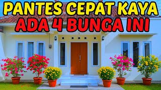 Download lagu 4 BUNGA PEMBAWA REZEKI DAN KEKAYAAN | TANAMAN PEMBAWA KEBERUNTUNGAN mp3 Download lagu 4 BUNGA PEMBAWA REZEKI DAN KEKAYAAN | TANAMAN PEMBAWA KEBERUNTUNGAN mp3