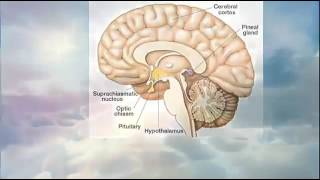 Secret Esoteric Knowledge of the Christ Within - El Secreto Sagrado del Cristo en el Interior