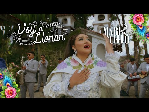 6. VOY A LLORAR (Tunantada 2026) MARICIELO DEL PERÚ
