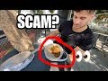 CHIPOTLE: Do you get what you pay for?