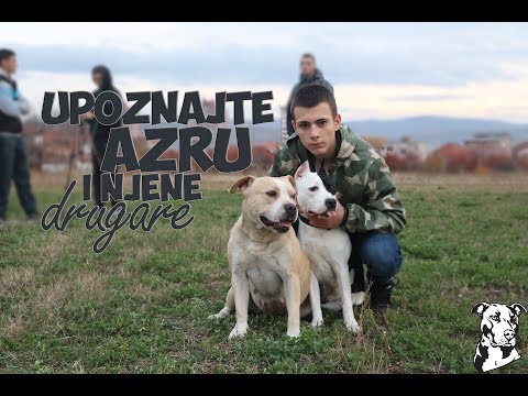 Upoznajte AZRU i njene drugare !!!