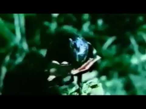 DJ TheCrow Piece Of Mine DJ Shabayoff RMX Progressive