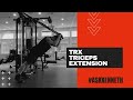 TRX Triceps Extension 廣東話旁白| #AskKenneth