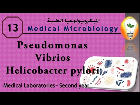 Medical Microbiology 0 introduction نظرة عامة ومقدمة لعلم الميكروبيولوجي