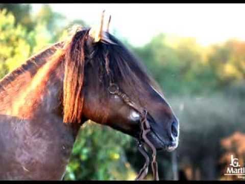 Volmir Coelho - Semaneiro