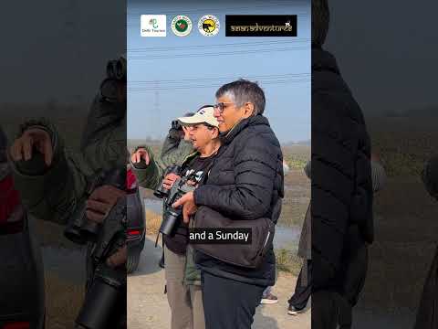 A Birding Escape at Najafgarh with Asian Adventures