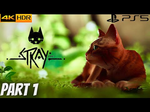 STRAY PS5 Walkthrough ULTRA GRAHPICS Gameplay Part 1 - INTRO (FULL GAME) 4K HDR