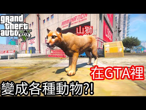 金 動物