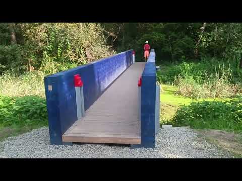 Hétvégi programajánló! Teknős Tanösvény a Dunakeszi tőzeglápon