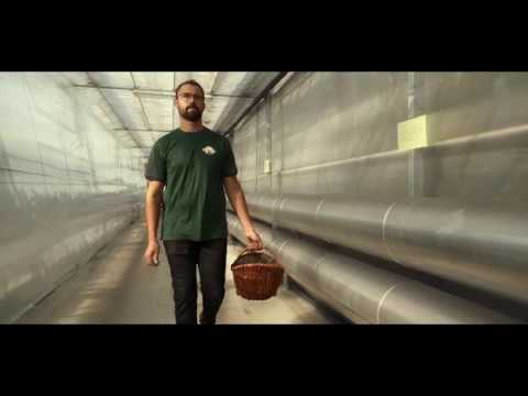 Die Geschmacksgärtner | Gartenbau Hoffmann der IMAGE FILM