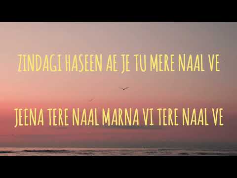 Zindagi haseen X zindagi aa tere naal lofi | (cover) by deepambar