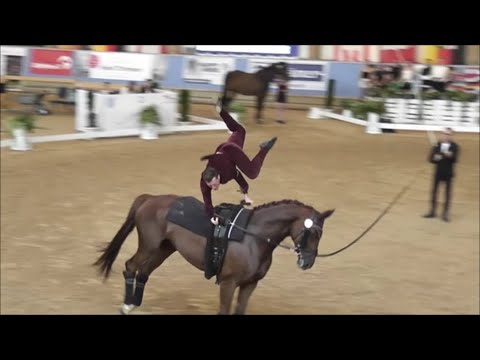 Deutsche Meisterschaft München 2025 - Einzelvoltigieren - Jannik Heiland