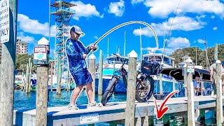 State Record While Fishing Destin Harbor?