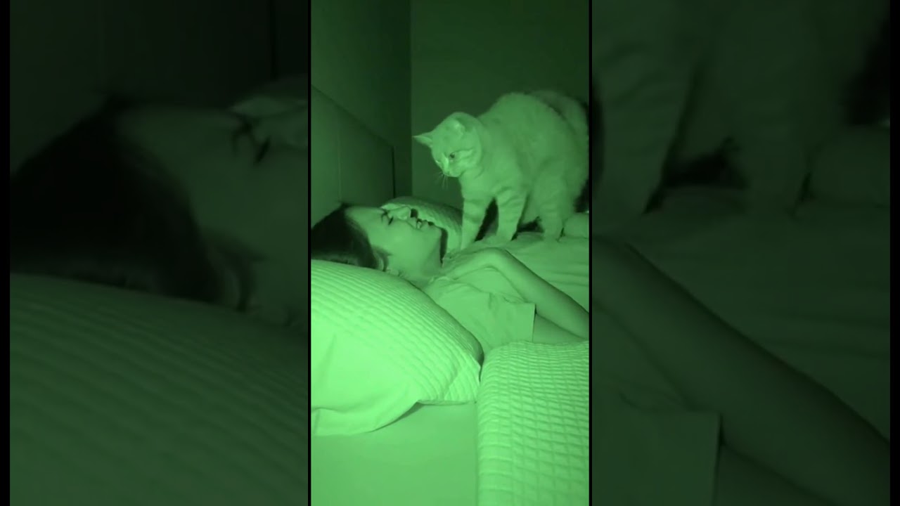 Who is WHISTLING through her mouth? #SleepParalysis #Cat #CCTV
