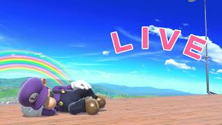 【スマブラSP】minminでメイトするだヶ→るいーじ