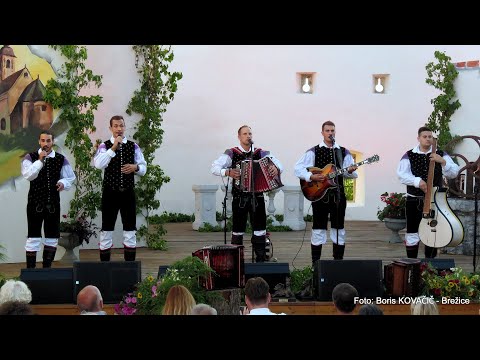 Ansambel Poziv - Dekle povej (v živo)
