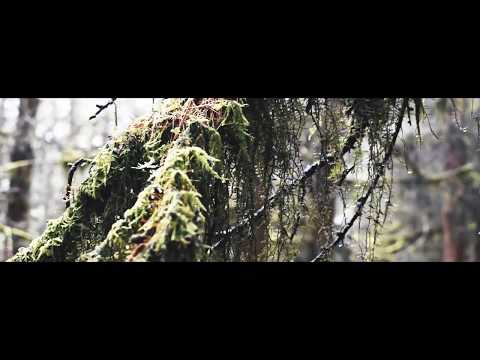 Canadian freeride trails in the UK?! | Havok Bike Park | Frontal Racing