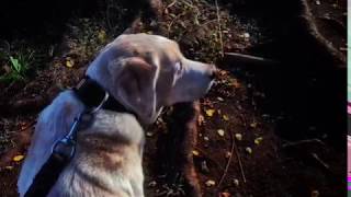 To Hold On To Ones Light!