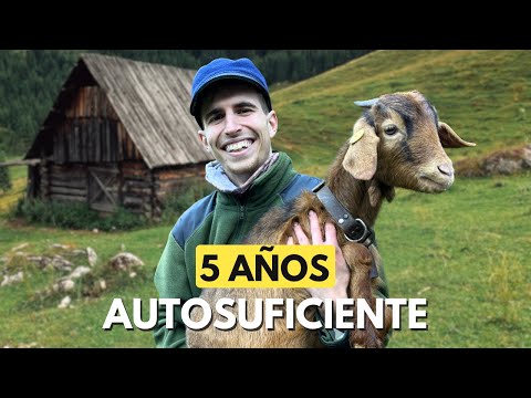 5 Years of Self-Sufficient Living in Nature: Daily Routine