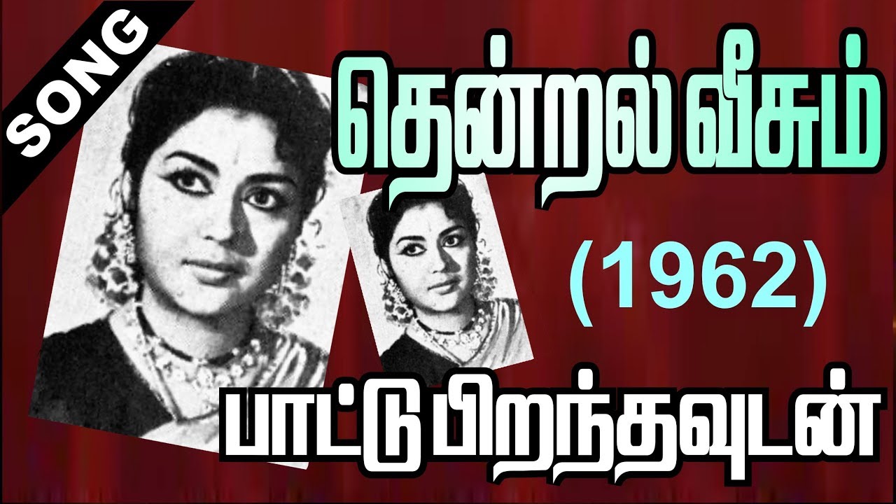Paattu Piranthavudan Song Lyrics | Thendral Veesum | P. Susheela