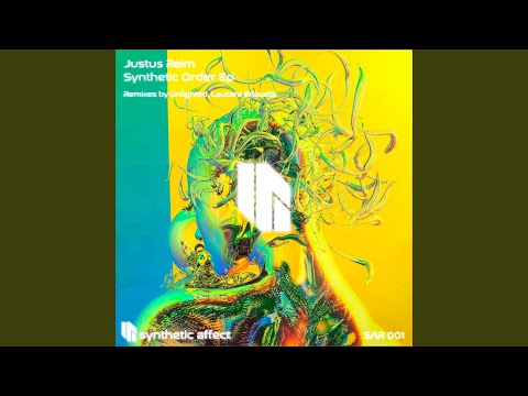 Synthetic Order (Unlighted Remix)
