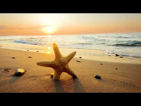Private Taste - First (Ashtrax Ambient Score) [2001]