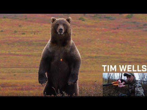 Tim Wells Shoots Grizzly Bear and Morrell?