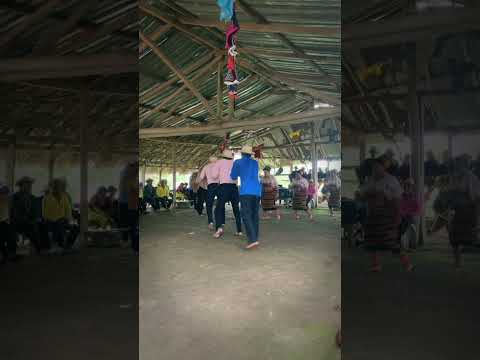 Guli Massi Gun Galu en Ipeti #danzaguna #gunayala #cultura