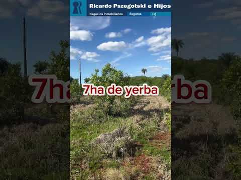 EN VENTA PROPIEDAD RURAL CERCANA A LA RUTA N°14 EN SAN JOSÉ MISIONES #campo #venta