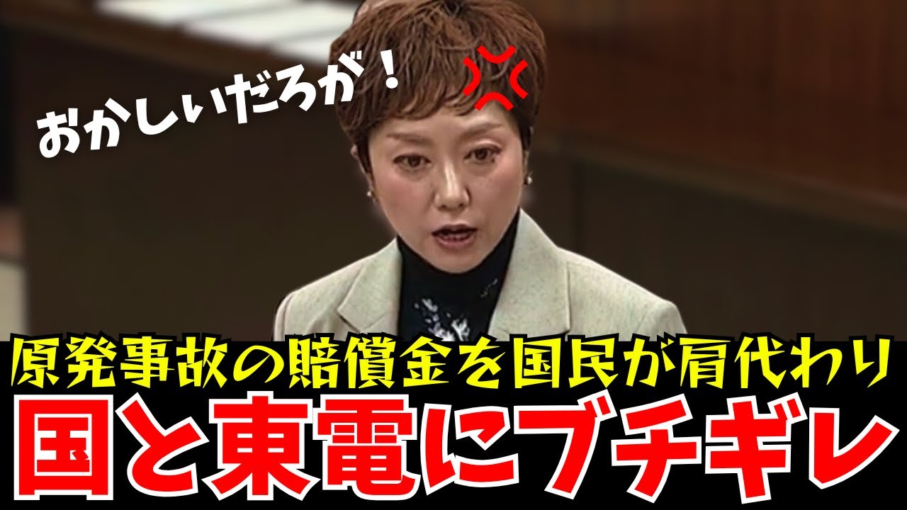 【山本太郎】これぞ国民の代弁者！国がゴリ押しした原発政策をぶった斬る！【れいわ新選組】#山本太郎 #れいわ新選組 #れいわを与党に #れいわ #消費税 #消費税廃止#奥田ふみよ