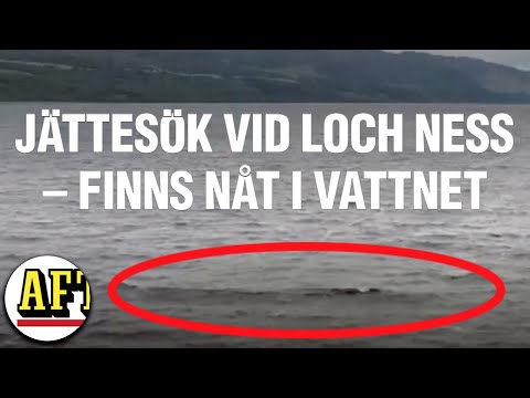 Största sökinsatsen på 50 år – efter djuret i sjön