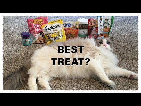 What is the Best Cat Treat? (Bracket/Contest), With Marshmallow The Cat