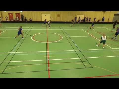 Umeå Västra IBF -  Luleå SK/IBK Luleå