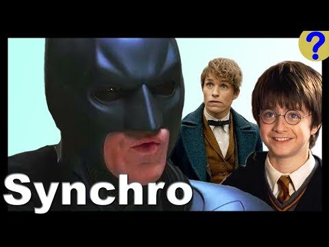 Ziemlich bescheuerte Filmparodien [Synchro/Parodie]