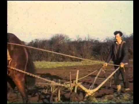 The Way I Remember It