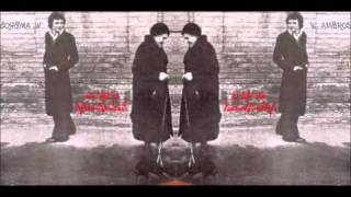 Wolfgang Ambros - Familie Pingitzer