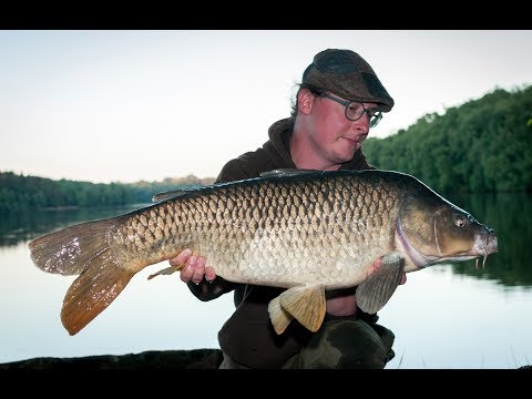 French Summer - Karpfenangeln in Frankreich mit Daniel Polsinger