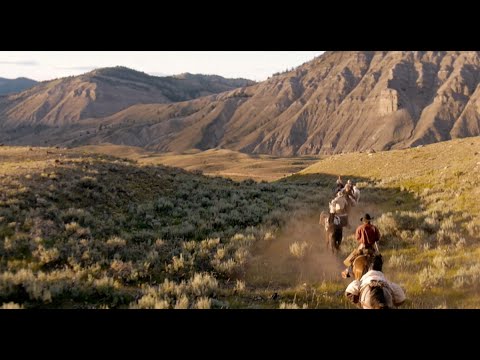 E.O.F.T. 15/16 UNBRANDED - Mini Trailer