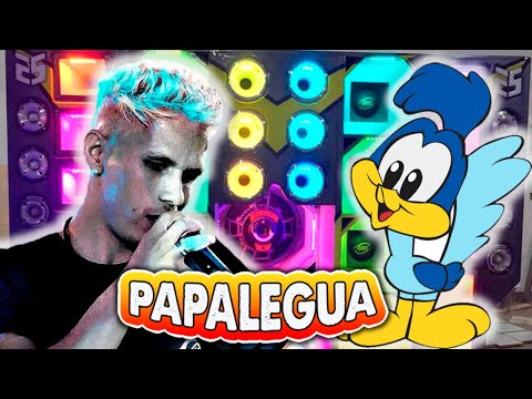 Papalegua - CD Vol 3 - Músicas Do Verão 2021 (ANCDs)