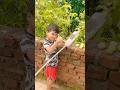Guava Harvesting Garden Ytshorts Terrace Subscribe